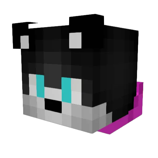 NotJeb Minecraft avatar head, 3D render