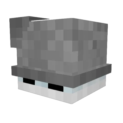 NotJitter__ Minecraft avatar head, 3D render