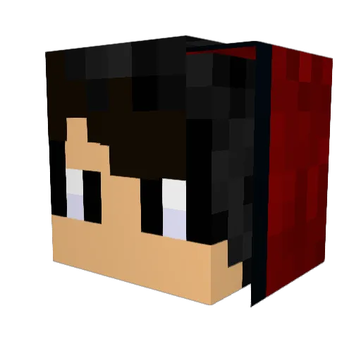 NotJoshua_ Minecraft avatar head, 3D render