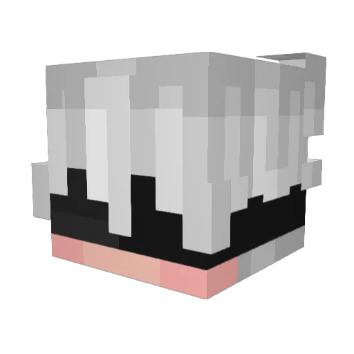 NotJxny Minecraft avatar head, 3D render