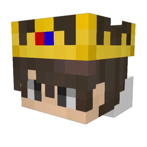 NotKaranPlayz Minecraft avatar head, 3D render