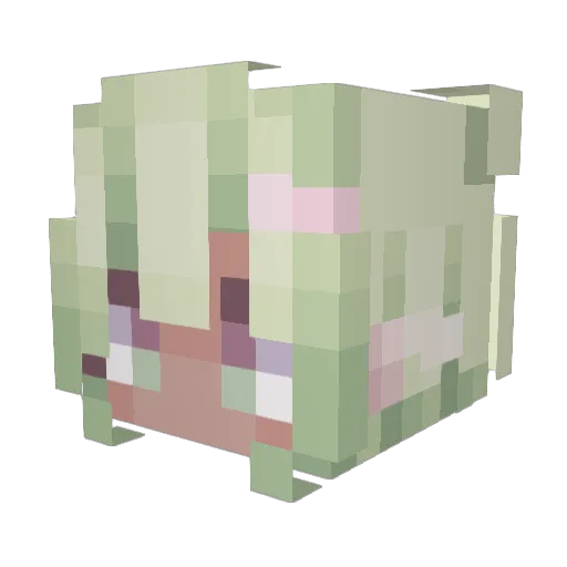 NotKarii Minecraft avatar head, 3D render