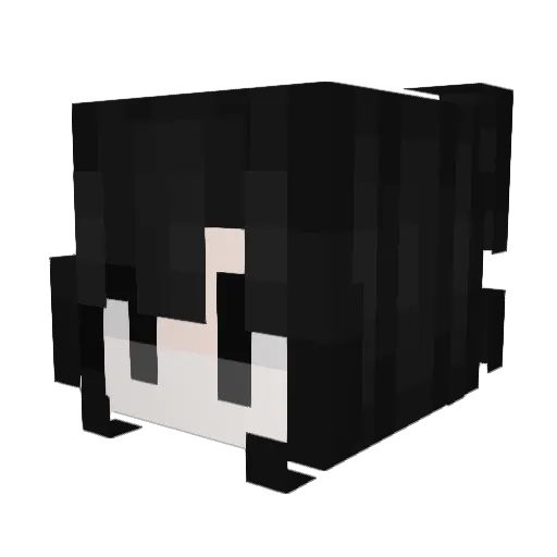 NotKarly_ Minecraft avatar head, 3D render