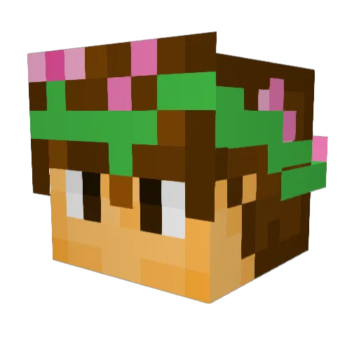 NotKyrie Minecraft avatar head, 3D render