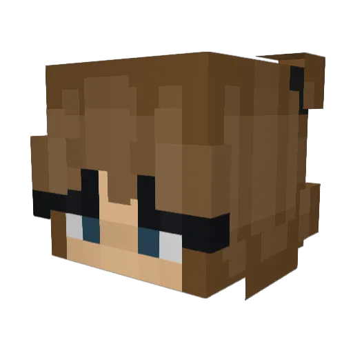 NotLala511 Minecraft avatar head, 3D render