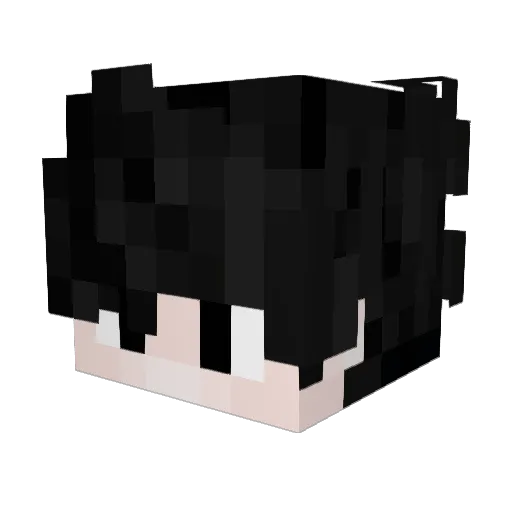 NotLaxtern Minecraft avatar head, 3D render