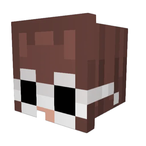 NotLikeOtherGrls Minecraft avatar head, 3D render