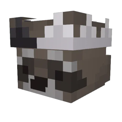 NotLikeToast Minecraft avatar head, 3D render