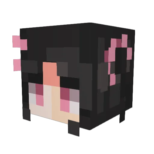 NotLloyd_ Minecraft avatar head, 3D render