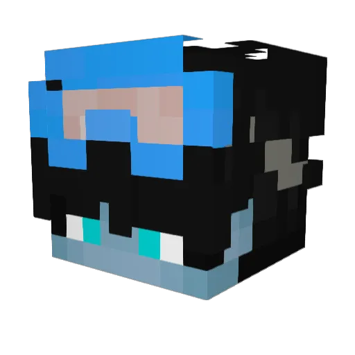 NotLockedIn_Sera Minecraft avatar head, 3D render