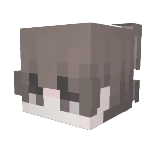 NotLxgend4 Minecraft avatar head, 3D render