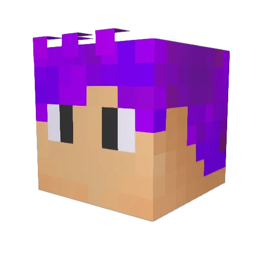 NotMagic_ Minecraft avatar head, 3D render