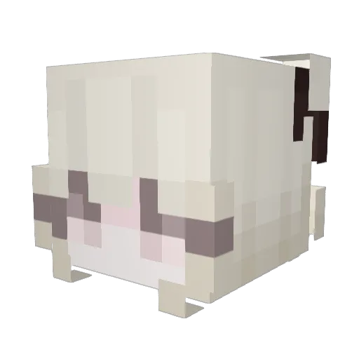 NotMaryla Minecraft avatar head, 3D render