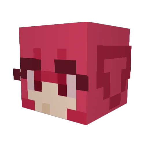 NotMastercat750 Minecraft avatar head, 3D render