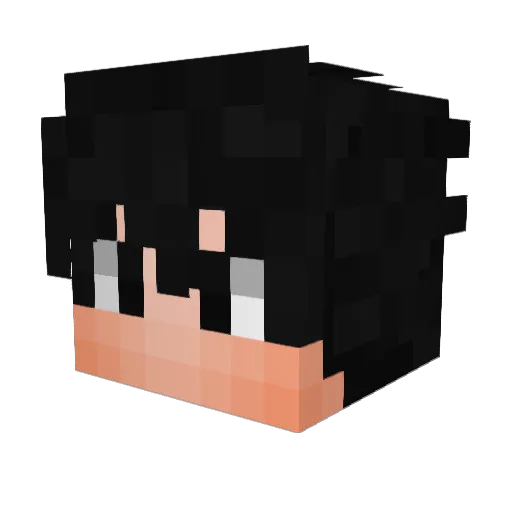NotMat_ Minecraft avatar head, 3D render