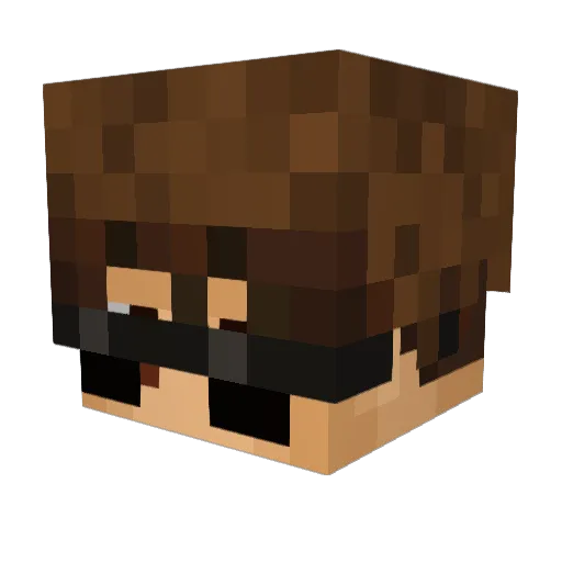 NotMeFoSho Minecraft avatar head, 3D render