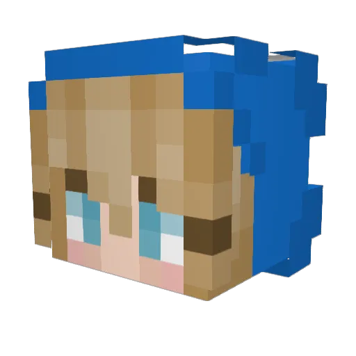 NotMeJoy Minecraft avatar head, 3D render