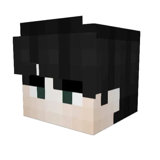 NotMegaMelon Minecraft avatar head, 3D render
