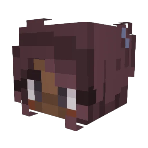 NotMissNighty Minecraft avatar head, 3D render