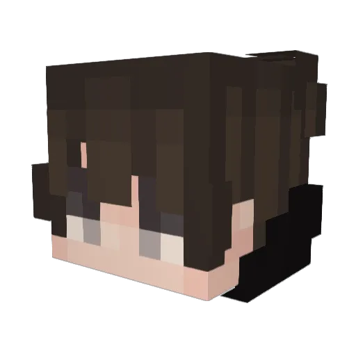 NotMoose_ Minecraft avatar head, 3D render