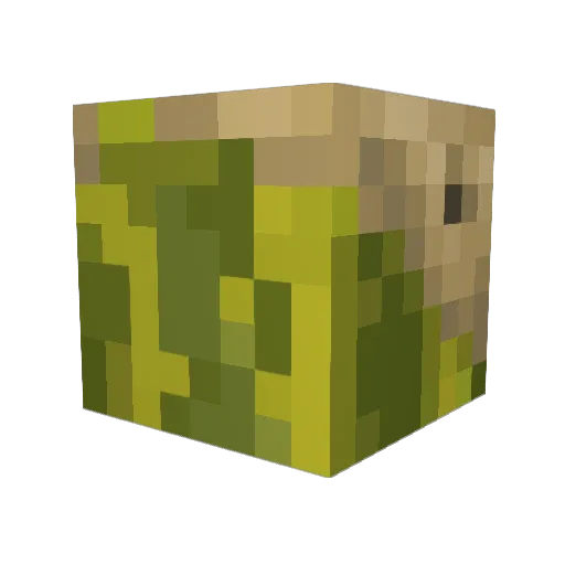 NotMyJewels Minecraft avatar head, 3D render