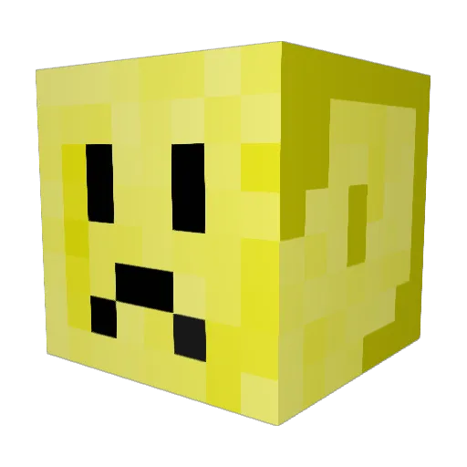 NotMyName2 Minecraft avatar head, 3D render