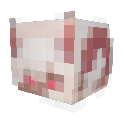 NotNali Minecraft avatar head, 3D render