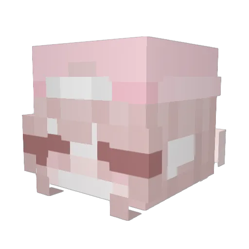 NotNekoz Minecraft avatar head, 3D render
