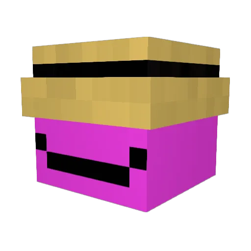 NotNicc Minecraft avatar head, 3D render