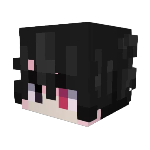 NotNicoYYT Minecraft avatar head, 3D render