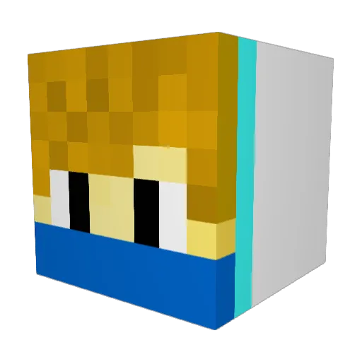 NotNishh Minecraft avatar head, 3D render