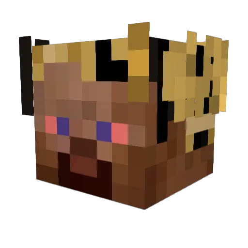 NotNmuAlt8 Minecraft avatar head, 3D render