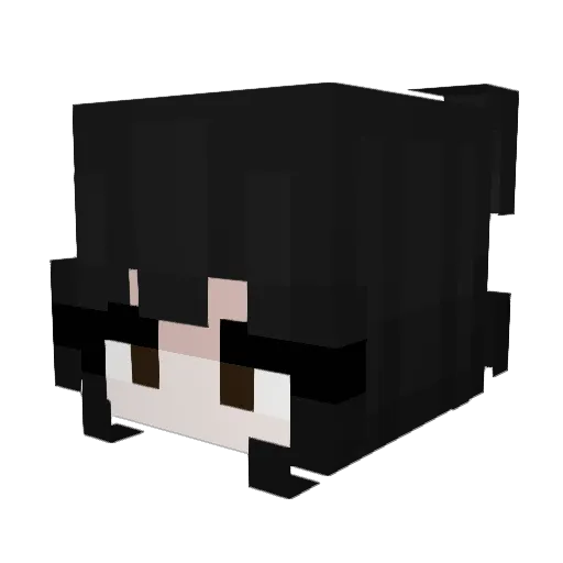 NotNormal8810 Minecraft avatar head, 3D render