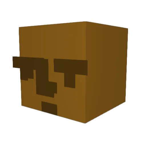 NotNotDifficult Minecraft avatar head, 3D render