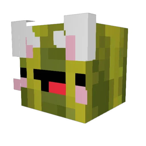 NotNuits Minecraft avatar head, 3D render