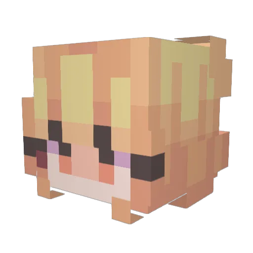 NotNyxx Minecraft avatar head, 3D render