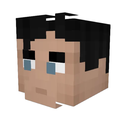 NotOnlyPeace Minecraft avatar head, 3D render