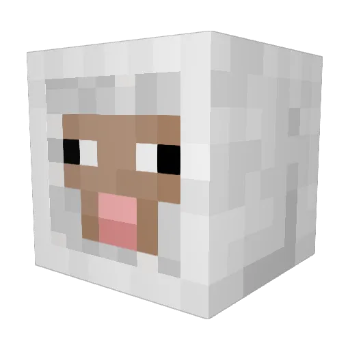 NotOtaku4Sure Minecraft avatar head, 3D render