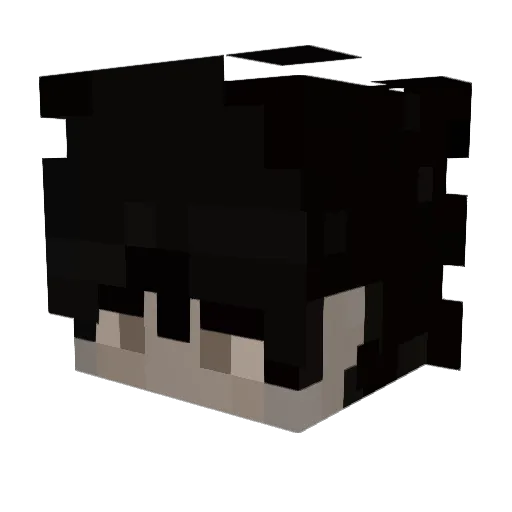 NotPanda_ Minecraft avatar head, 3D render