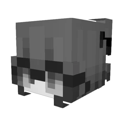NotPat_ Minecraft avatar head, 3D render