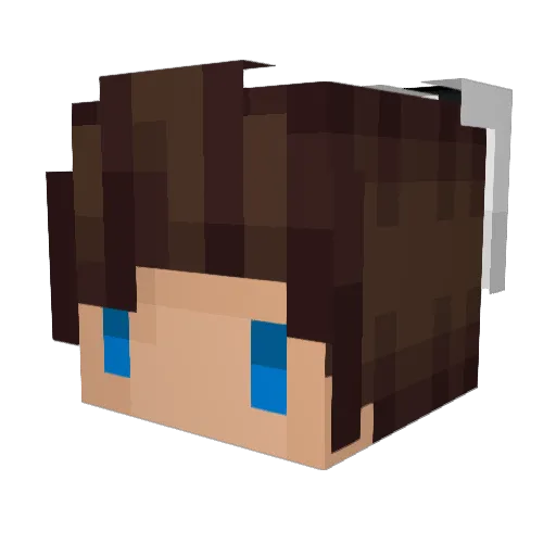 NotPinxz Minecraft avatar head, 3D render