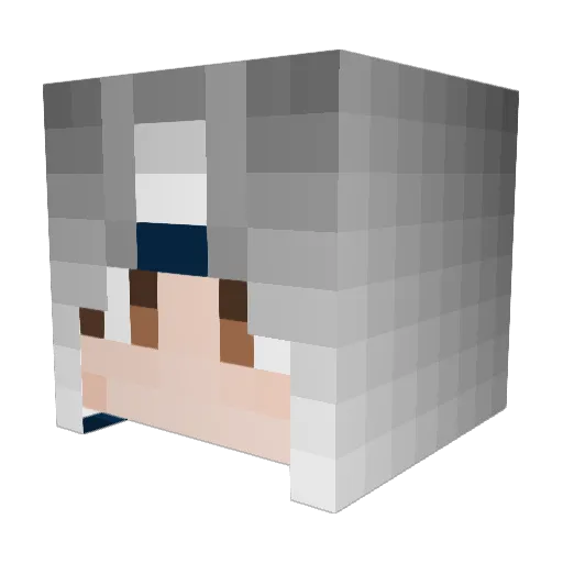 NotPlayerG4M3R Minecraft avatar head, 3D render