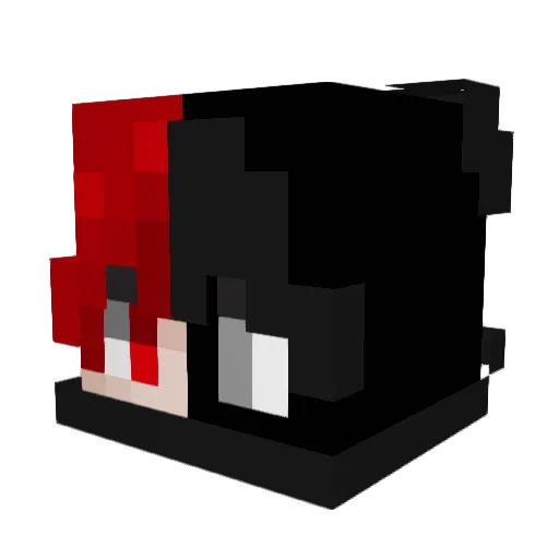 NotPraia Minecraft avatar head, 3D render