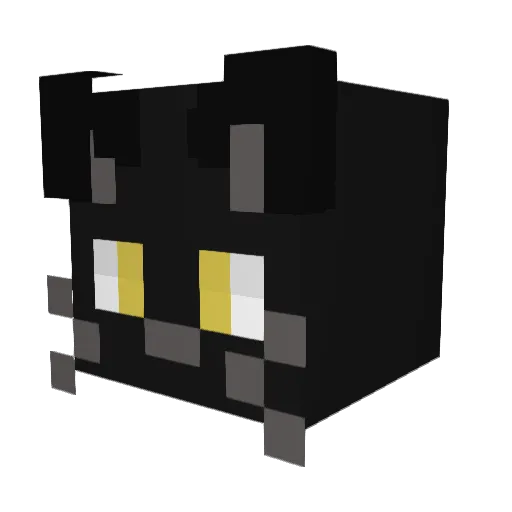 NotPruvided Minecraft avatar head, 3D render