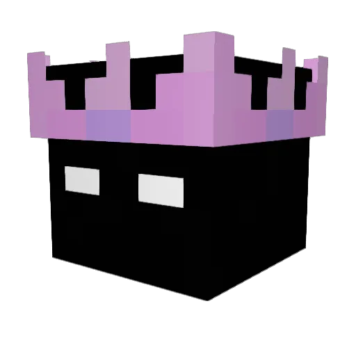 NotPxrty Minecraft avatar head, 3D render