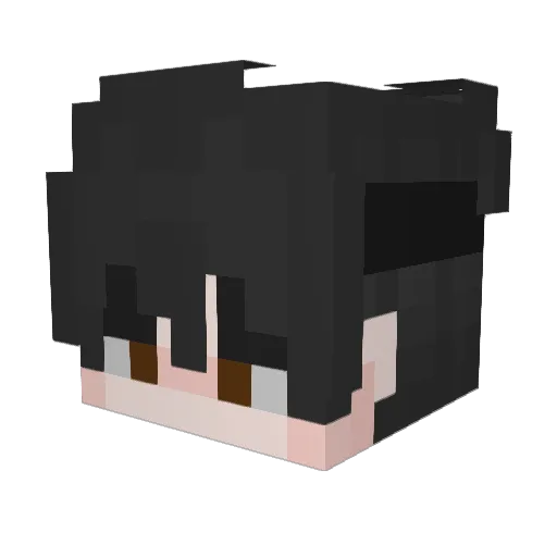 NotQuit Minecraft avatar head, 3D render