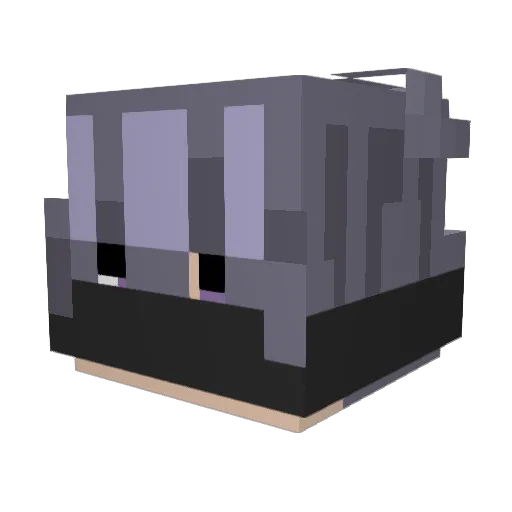 NotQuiteMc_ Minecraft avatar head, 3D render