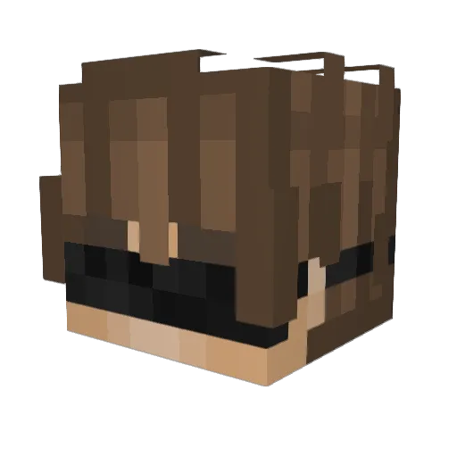 NotQuiteRonen Minecraft avatar head, 3D render