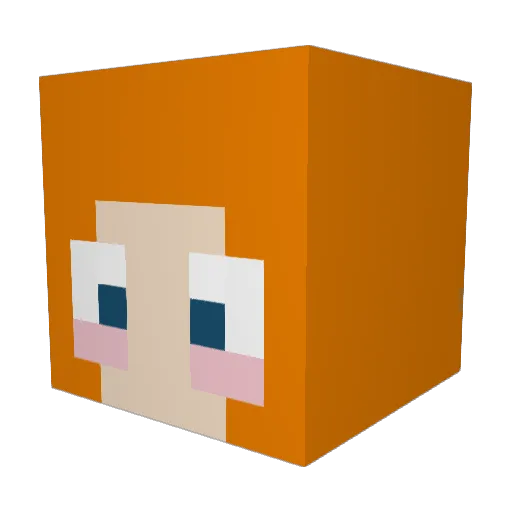 NotReached Minecraft avatar head, 3D render