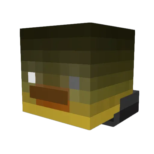 NotRealMatrix Minecraft avatar head, 3D render